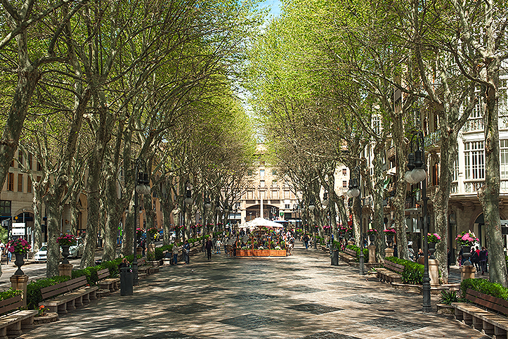 A walk through el Borne of Palma with our real estate agency |Grupo Roma